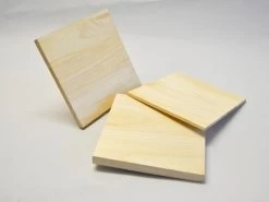 PHOENIX 10er Pack Einweg-Bruchtestbretter Von 0,6mm - 30mm -Kampfsportausrüstung 100 BT10 10er Pack Einweg Bruchtestbretter 300x300x10mm 1 1280x1280