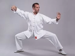 PHOENIX Shaolin Kung Fu Anzug Weiß