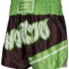 PHOENIX Thai Shorts, "FIGHTER" Schw-grün