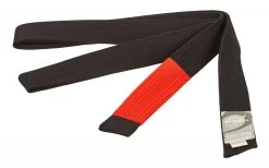 Ju Sports BJJ Gürtel Competition Superlight Unisize 270 Cm, Blau-schwarz -Kampfsportausrüstung 7606015 BJJ Guertel superlight competition black 1 1280x1280