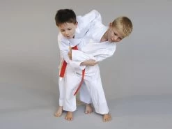 PHOENIX Judo BASIC Edition 380 Gr -Kampfsportausrüstung BEJ 150 Judo BASIC Edition 380 gr Gr 150 3 1280x1280