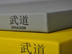PHOENIX Judomatte DRAGON 100x100x4 Cm RG230 -Kampfsportausrüstung DG114230 Judomatte DRAGON 100x100x4 cm RG230 1 1280x1280