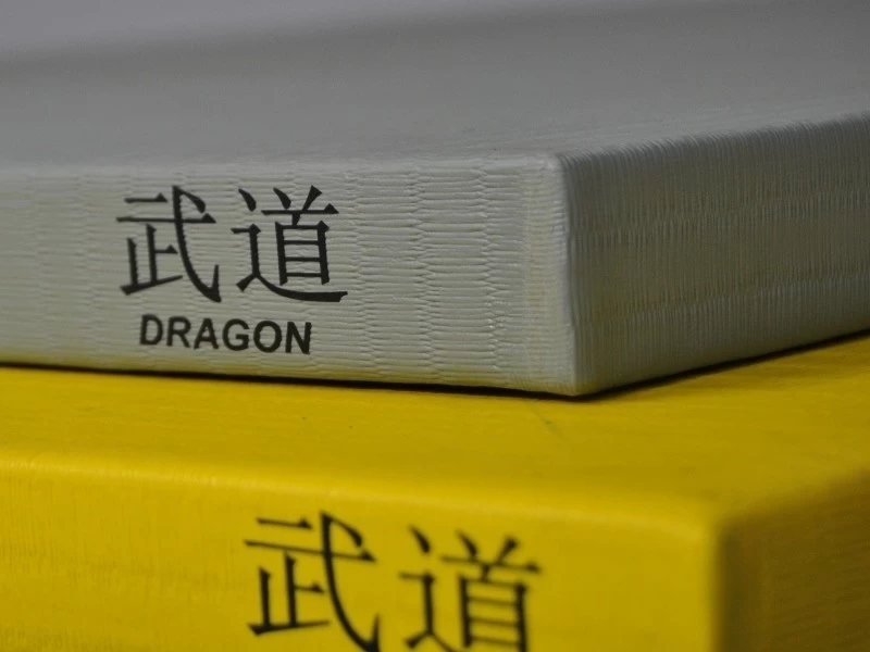 PHOENIX Judomatte DRAGON 200x100x4 Cm RG230 2 PHOENIX Judomatte DRAGON 200x100x4 Cm RG230 – Bild 2